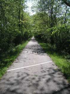 Norwottuck rail trail